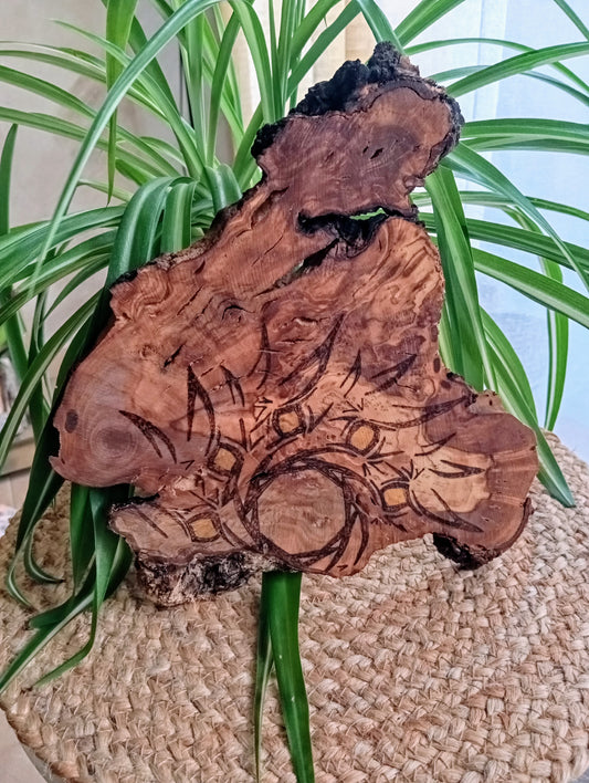 Piezas olivo "RESPIRA"